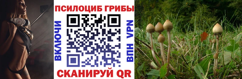 Псилоцибиновые грибы мухоморы  что такое наркотик  Ликино-Дулёво 